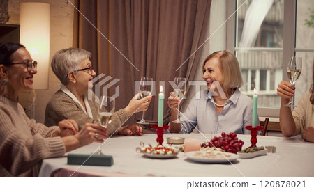 Happy birthday. Elderly woman meeting at home to celebrate birthday of friend, raising glasses of wine in celebratory toast 120878021