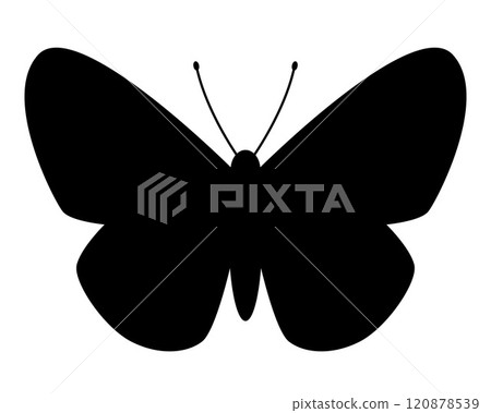 butterfly silhouette shape, black and white vector illustration of butterfly with spread wings, isolated on white butterfly silhouette shape, black and white vector illustration of butterfly with spread wings, isolated on white 120878539