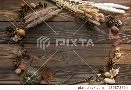 用堅果、枯葉和秋季配件製成的框架(類型1) 用堅果、枯葉和秋季配件製成的框架(類型1) 120878864