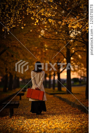 秋天公園裡走過落下的銀杏葉的女人 120878878