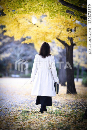 一位女士在秋季公園的一排銀杏樹上行走 120878879