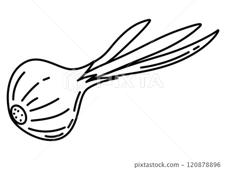 Illustration of onion. Stylized food object for cooking recipe and menu. 120878896