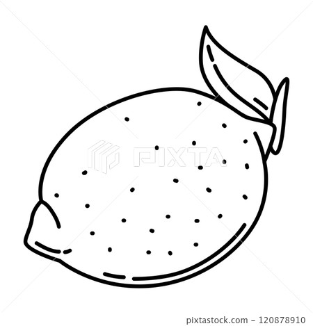 Illustration of lemon. Stylized food object for cooking recipe and menu. 120878910