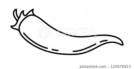 Illustration of chili pepper. Stylized food object for cooking recipe and menu. 120878913