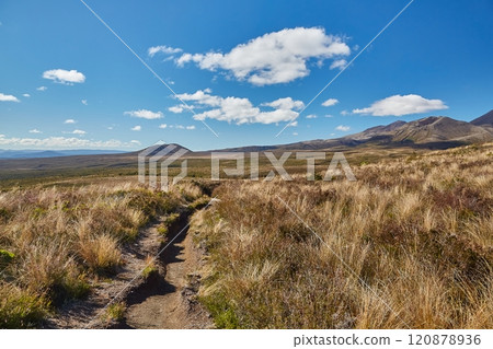 Volcanic Landscape hiking trail Tongariro, New Zealand 120878936