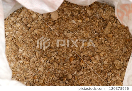 light burlap bag with broken and whole sea shells as additional feed for farm poultry and a source of calcium for the strength of the shell of domestic laying hens 120878956