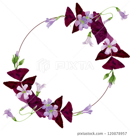 Watercolor round frame of vibrant purple Oxalis Triangularis. Watercolor round frame of vibrant purple Oxalis Triangularis. 120878957