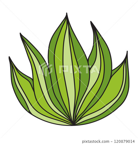 Green grass image over the white Green grass image over the white 120879014