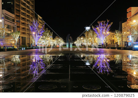Winter at Minato Boulevard Park: Fantastic illuminations reflected on the rows of zelkova trees 120879025