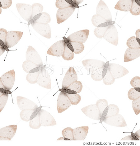 Seamless pattern Watercolor butterfly illustration 120879083