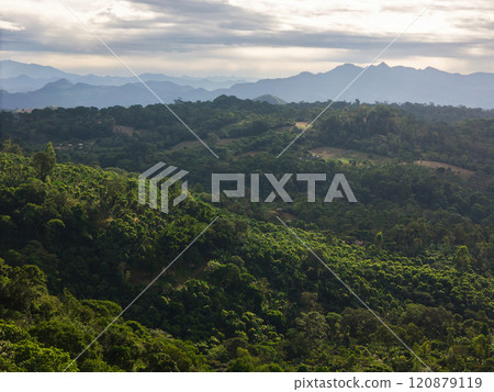 Green tropical hills landscape 120879119