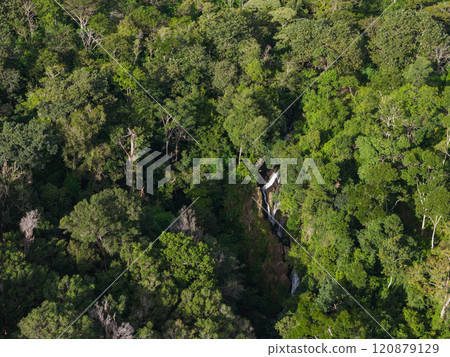 Tropical forest green trees with waterfall rock 120879129