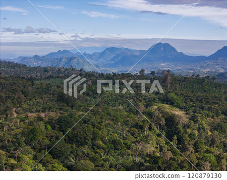 Green tropical forest with mountain and hills 120879130