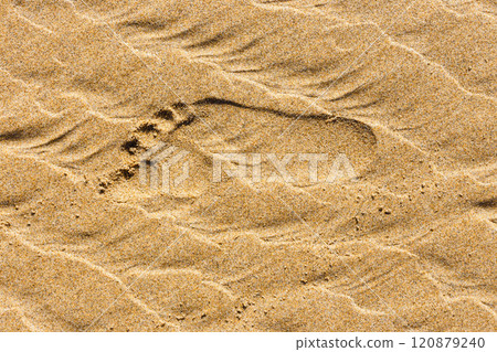 human footprints in the sand beach 120879240