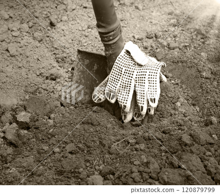 Old shovel with a gloves 120879799
