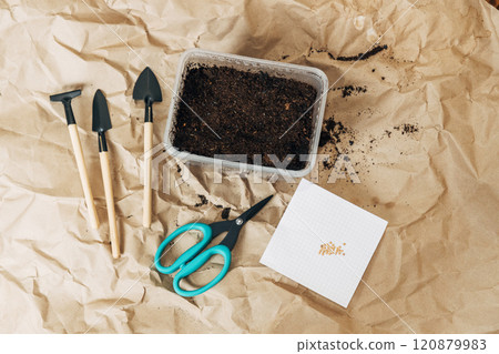 Kraft paper background, fertile soil and garden tools on top, top view. Planting seedlings in spring Kraft paper background, fertile soil and garden tools on top, top view. Planting seedlings in spring 120879983