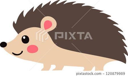 Hedgehog isolated vector, hedgehog drawing 120879989