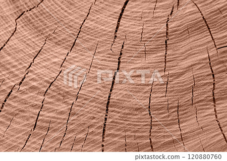 Close-up of wood cross-section texture with cracks. Fashionable colored mocha mousse 2025. Close-up of wood cross-section texture with cracks. Fashionable colored mocha mousse 2025. 120880760