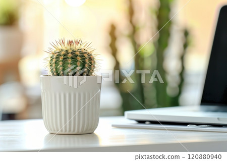 A small cactus in a white pot on a computer desk next to a laptop on a blurred background. 120880940