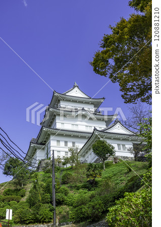 小田原城塔 神奈川縣小田原市 120881210