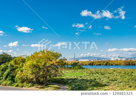 View from the embankment at the exit of Yodogawa River Park, Hirakata City 120881325