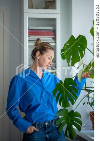 Woman check branches of monstera plant on windowsill in living room. Plant lover touching leaves 120881553