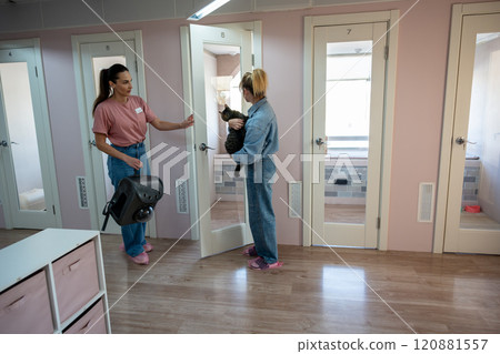 Cat owner arrive to checkin pet at animal hotel. Pet facility, hotel introduction, staff interaction Cat owner arrive to checkin pet at animal hotel. Pet facility, hotel introduction, staff interaction 120881557