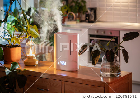 Air humidifier stand on wooden chest of drawers at home, steam illuminated by table lamp 120881581