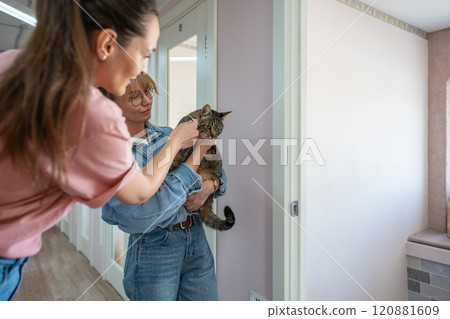 Cat owner hugging cat in pet hotel, ready to check in. Staff introdaction with first touch and smell 120881609