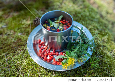 Metal camping mug with tea on aluminium plate among grass. Close up, focus on foreground.  120881641