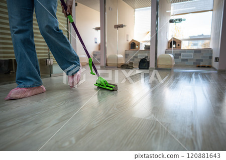 Staff mops floor to ensure hygienic, comfortable space for cats in pet hotel. Upkeep and sanitation Staff mops floor to ensure hygienic, comfortable space for cats in pet hotel. Upkeep and sanitation 120881643