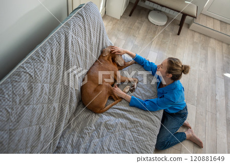 Relaxed woman interaction with sleepy dog, petting lying on couch vizsla, stress free pet therapy. Relaxed woman interaction with sleepy dog, petting lying on couch vizsla, stress free pet therapy. 120881649