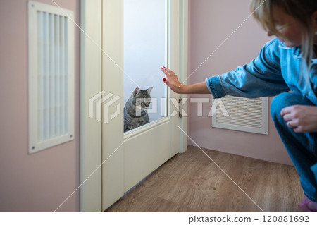 Hand of female owner rests on glass door of cat hotel room. Pet accommodations for safe, cat service Hand of female owner rests on glass door of cat hotel room. Pet accommodations for safe, cat service 120881692