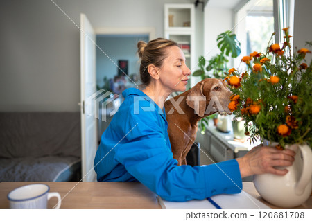 Calm smiling female owner embracing Magyar Vizsla dog and smelling flower bouquet in vase on desk Calm smiling female owner embracing Magyar Vizsla dog and smelling flower bouquet in vase on desk 120881708