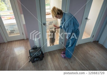 Woman says goodbye to sad missing cat through glass door in animal hotel. Cat farewell, owner leave 120881720