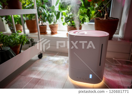 Air humidifier on the floor at home, steam illuminated by grow light, potted plants on windowsill 120881771