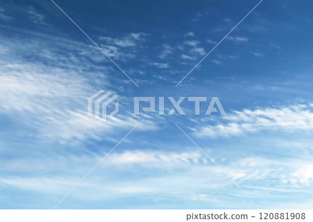 Normal Day 120881908