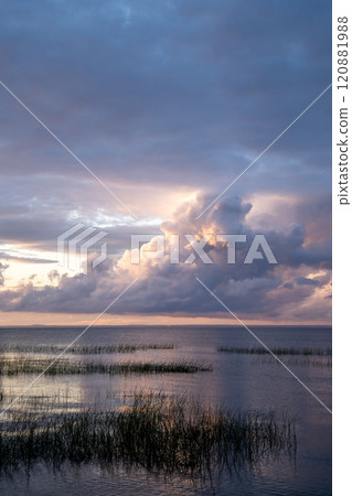 Calm lakeside at sunset in summer evening. Grassy seashore in evening against a cloudy sunset sky. Calm lakeside at sunset in summer evening. Grassy seashore in evening against a cloudy sunset sky. 120881988