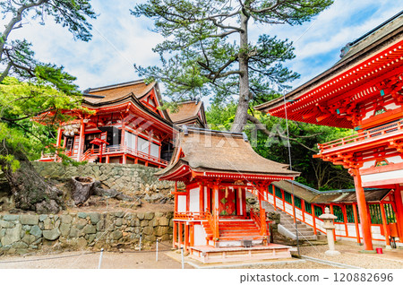 Shimane Hinomisaki Shrine - Looking up at the shrine from the Monkyakujinsha in front of the tower gate Shimane Hinomisaki Shrine - Looking up at the shrine from the Monkyakujinsha in front of the tower gate 120882696