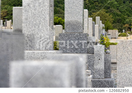 Cemetery Cemetery 120882950