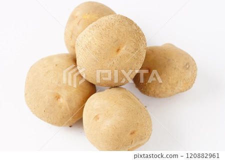 新鮮的土豆 120882961