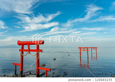 秋天的王王神社的水下鳥居矗立在佐賀縣太良町有明海的淺灘上 120883235