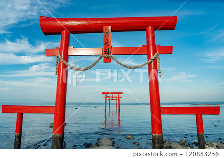 秋天的王王神社的水下鳥居矗立在佐賀縣太良町有明海的淺灘上 120883236