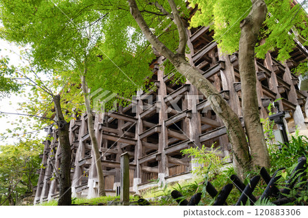 京都市東山區清水寺 120883306
