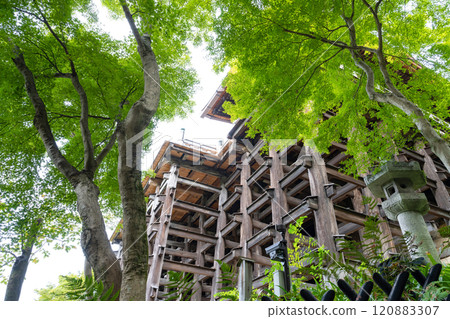 Kiyomizu-dera Temple, Higashiyama Ward, Kyoto City 120883307