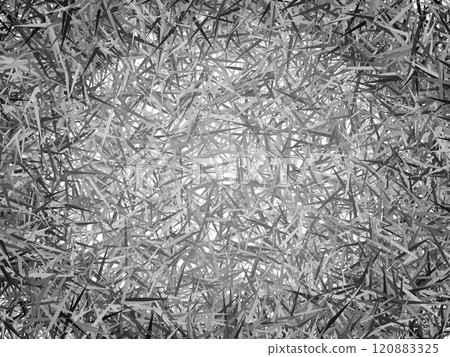 Thorny texture (monochrome) 120883325