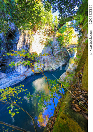 橫跨山谷的猴橋和水道橋(垂直) 橫跨山谷的猴橋和水道橋(垂直) 120883533