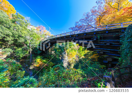 秋葉猿橋 1 120883535