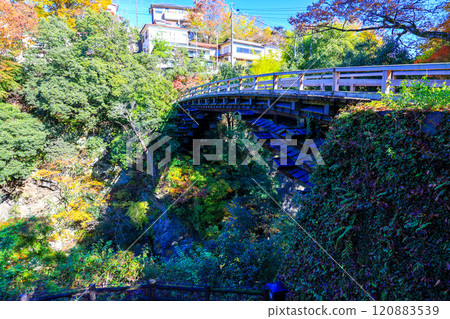 Autumn Saruhashi Bridge 1 Autumn Saruhashi Bridge 1 120883539