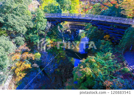 Saruhashi Bridge and Waterway Bridge in Autumn 2 Saruhashi Bridge and Waterway Bridge in Autumn 2 120883541